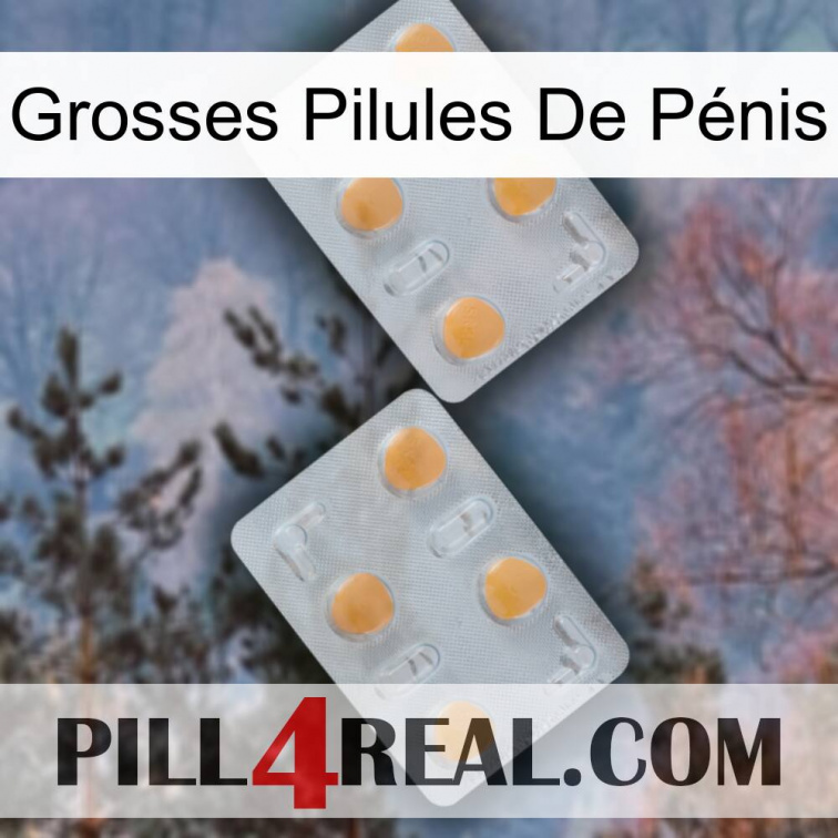 Grosses Pilules De Pénis 25